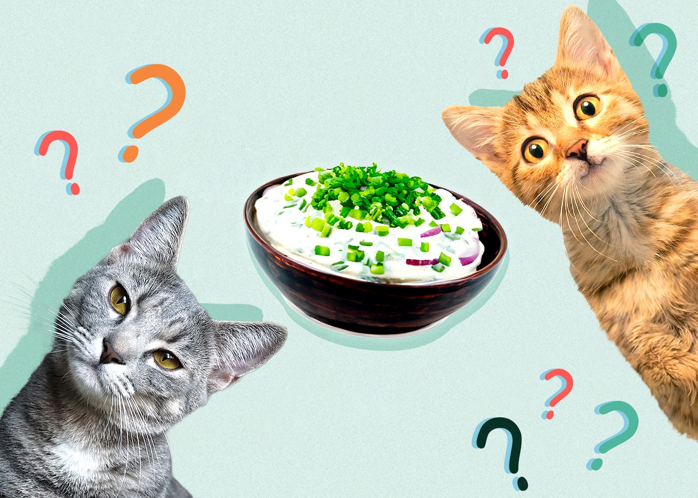 Can Cats Eat ranch-dressing