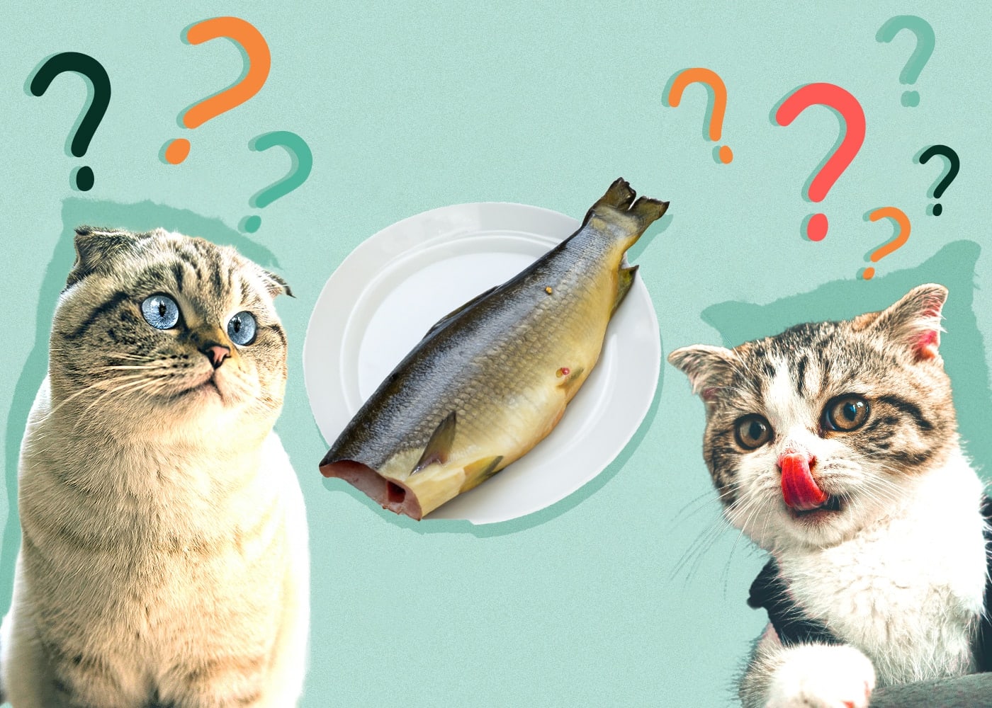 Can Cats Eat Raw Fish