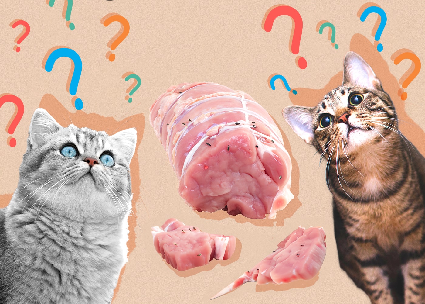 Can Cats Eat Raw Pork
