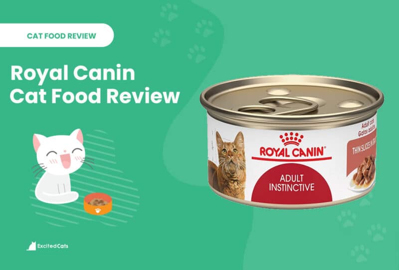 royal canin review