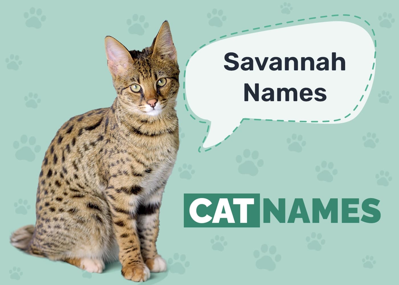 Savannah Cat Names