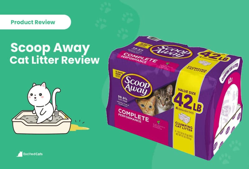 https://excitedcats.com/scoop-away-cat-litter-review/