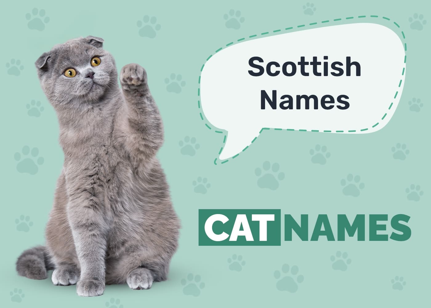 Scottish Cat Names