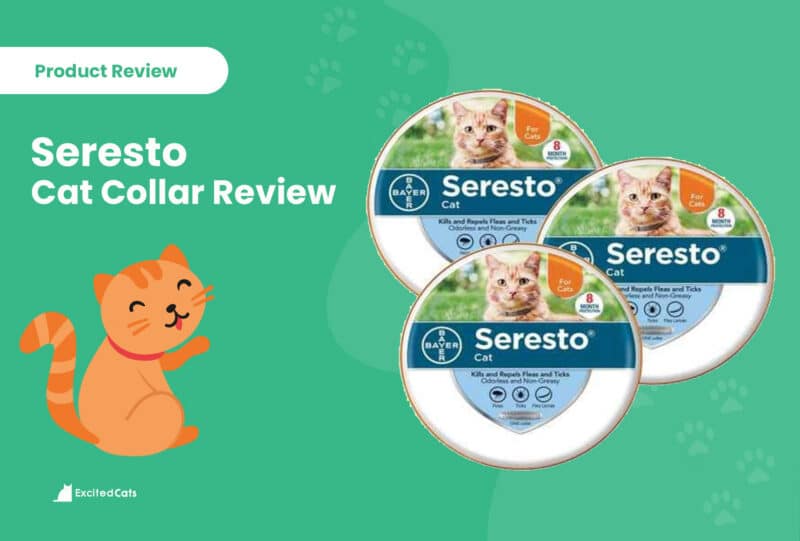 Seresto Flea & Tick Cat Collar Review in 2024 Pros & Cons Catster