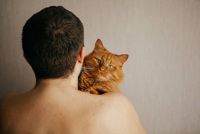 shirtless and naked owner carrying his pet cat