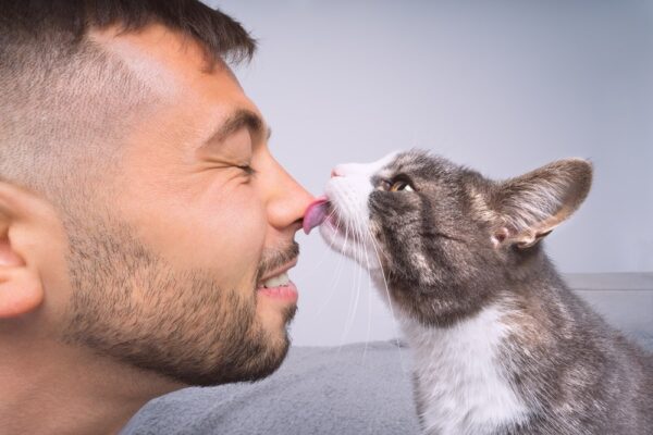 Cat Licking owners nose