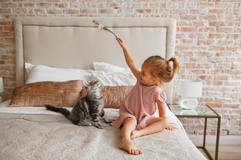 cat playing with little girl
