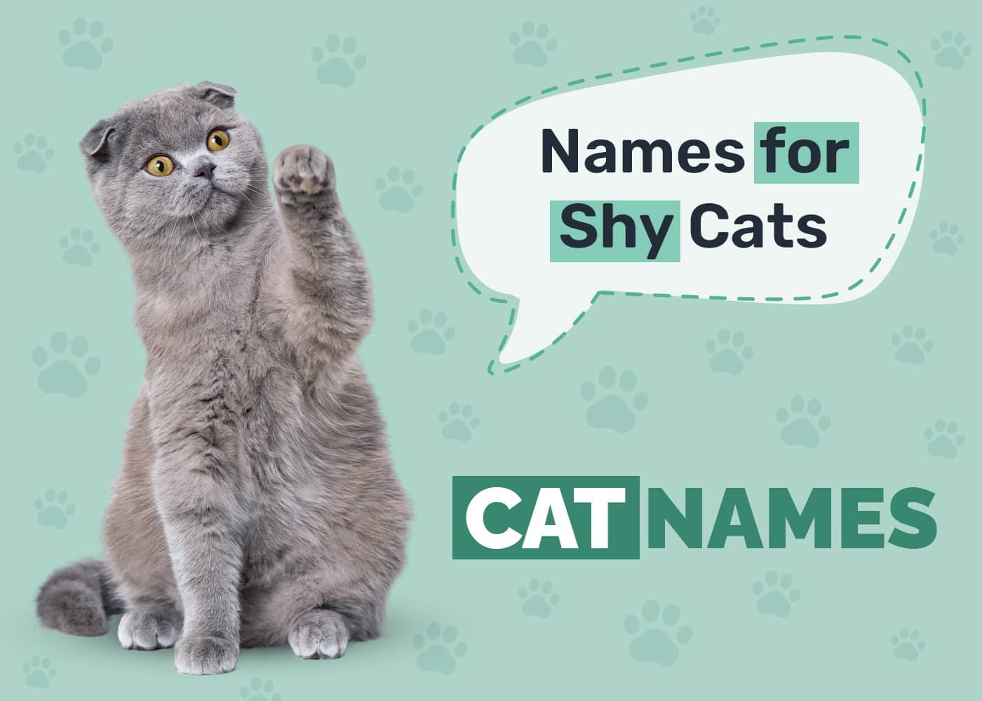 100+ Shy Cat Names: Ideas for Sweet & Timid Cats - Catster