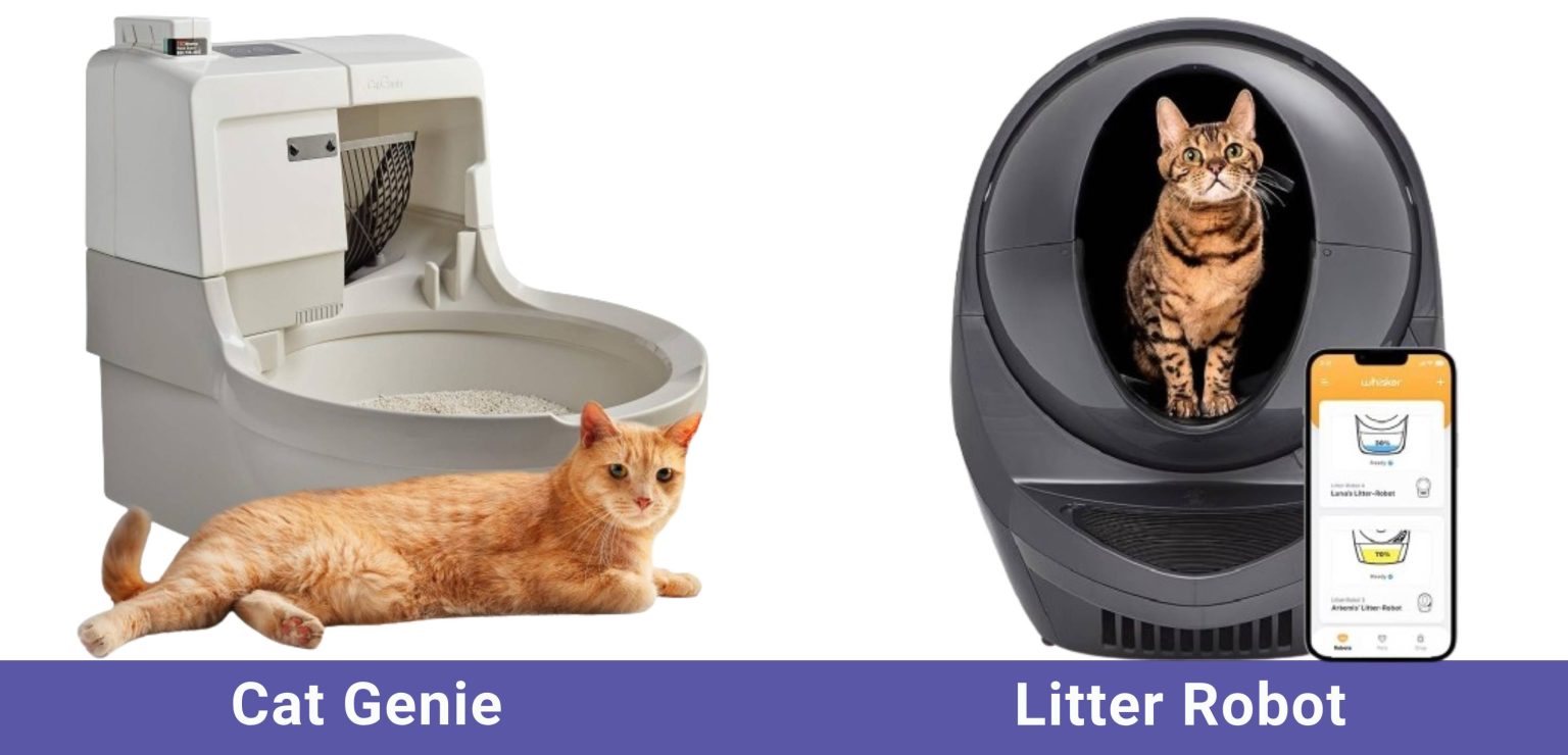CatGenie Litter Box vs. LitterRobot 2024 Comparison Catster