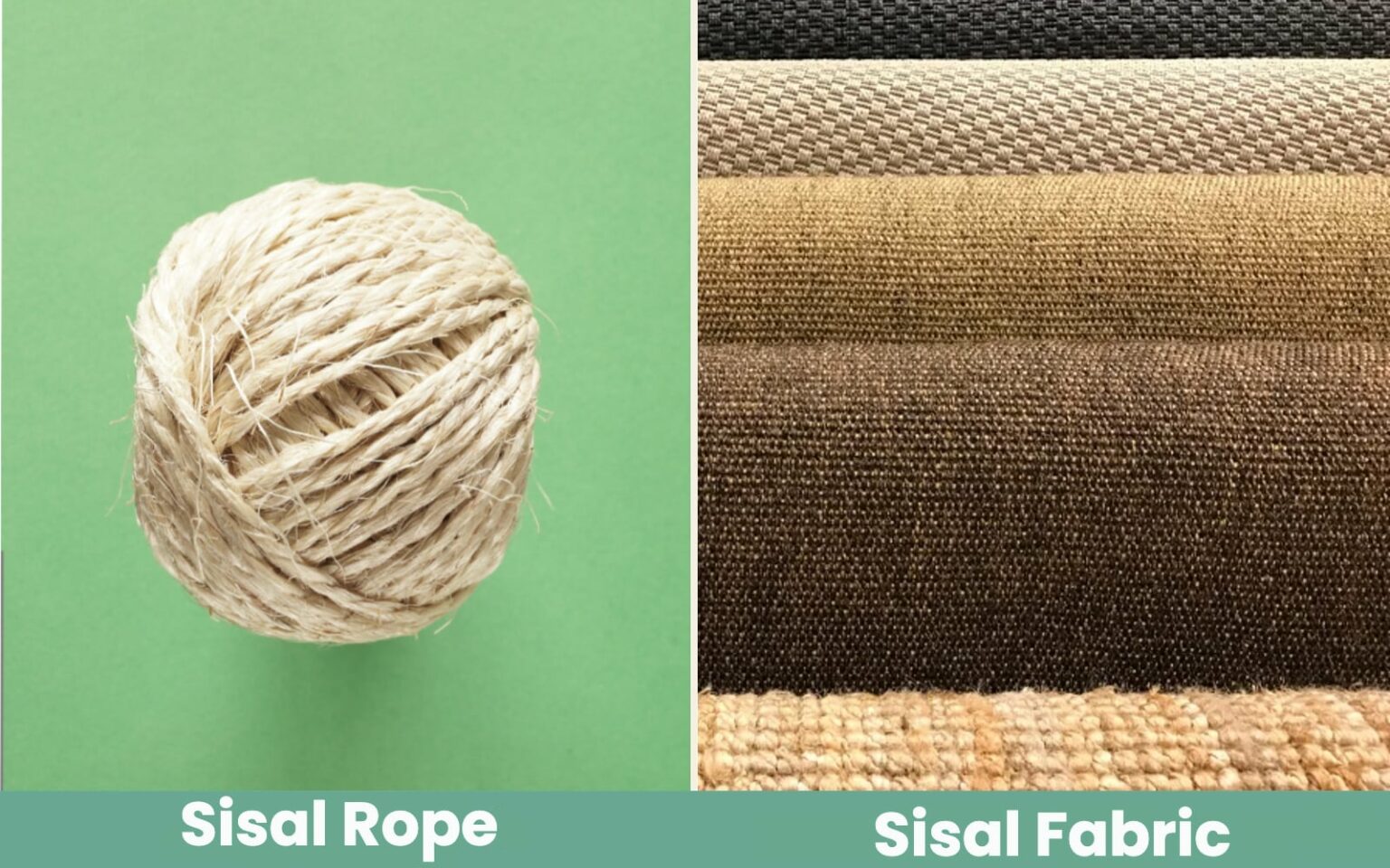 Sisal Rope vs. Sisal Fabric for Cat Scratching Posts Key Differences, Benefits & FAQ Catster