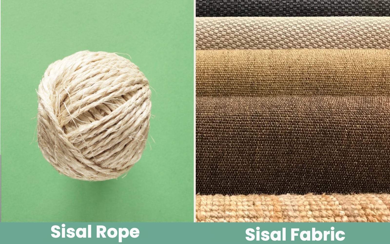 Sisal Rope vs Sisal Fabric for Cat Scratching Posts: Key Differences,  Benefits & FAQ - Catster