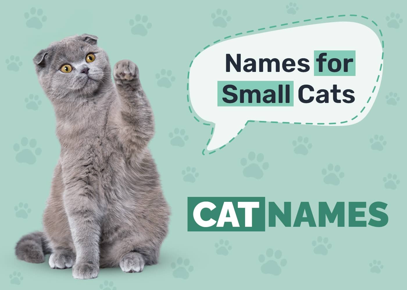 Small Cat Names