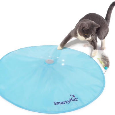 SmartyKat Hot Pursuit