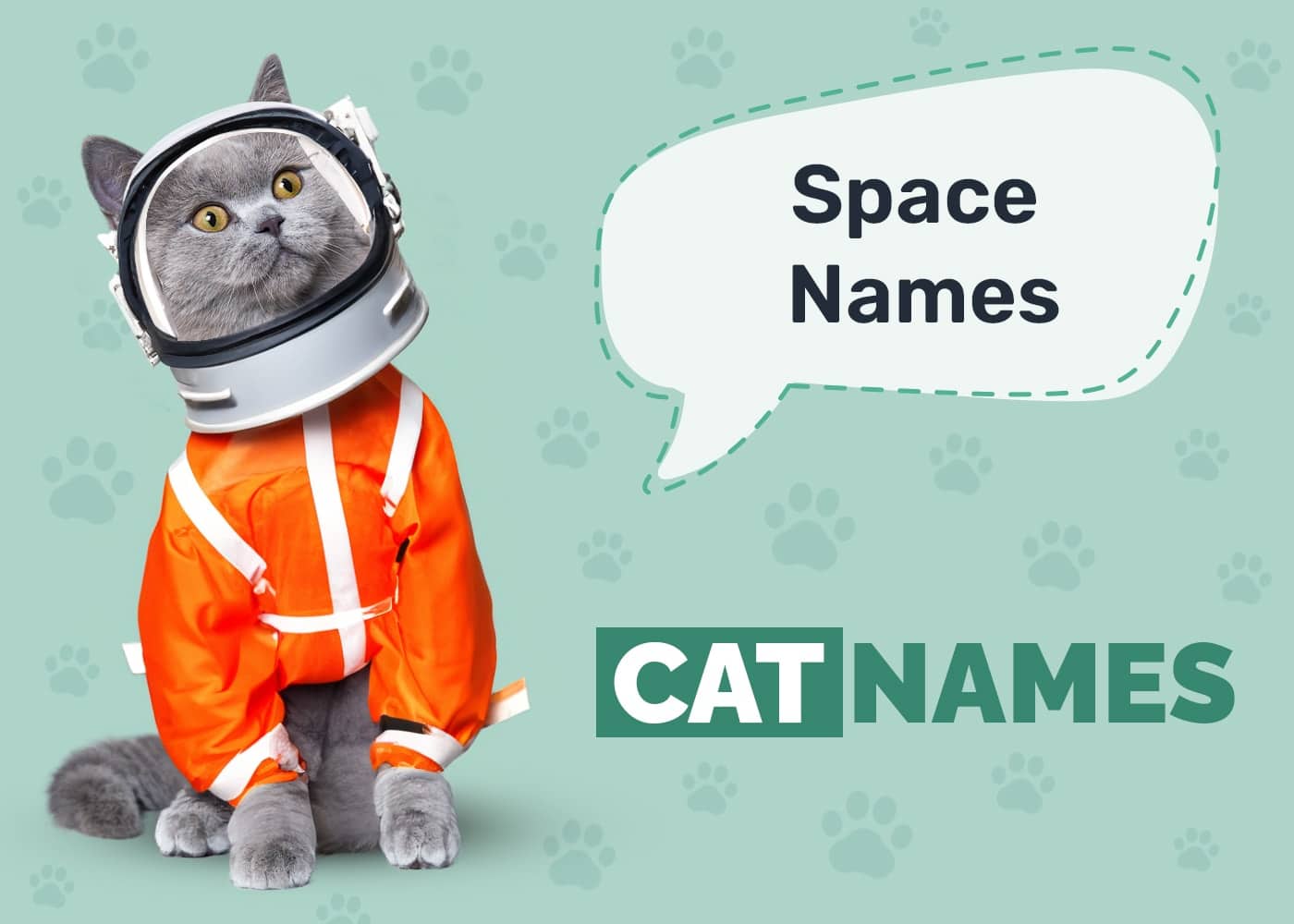 Space Names for Cats