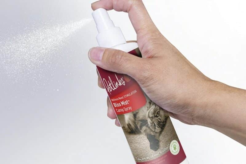 spraying-Petlinks-Bliss-Mist-Catnip-Spray