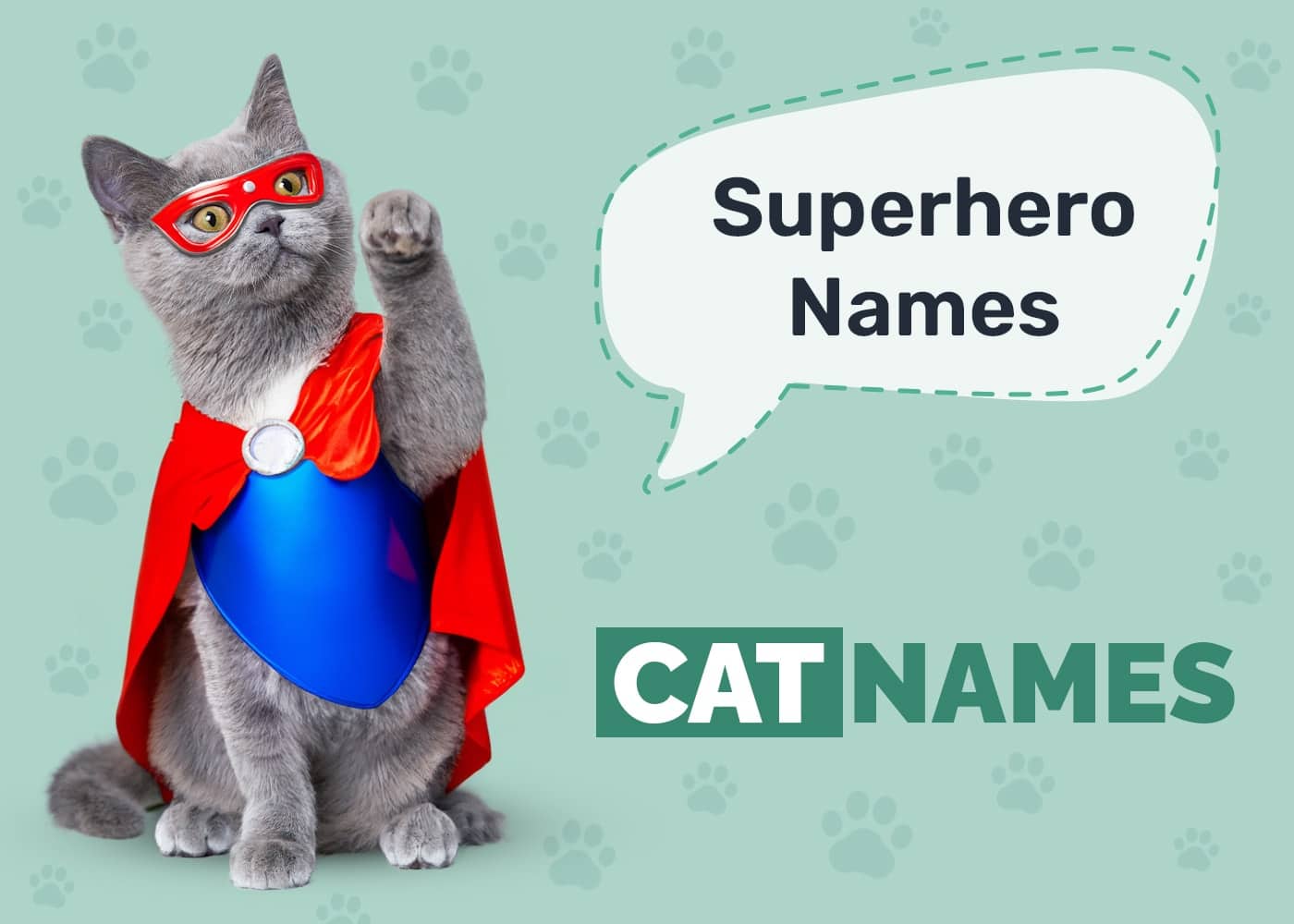 Superhero Cat Names