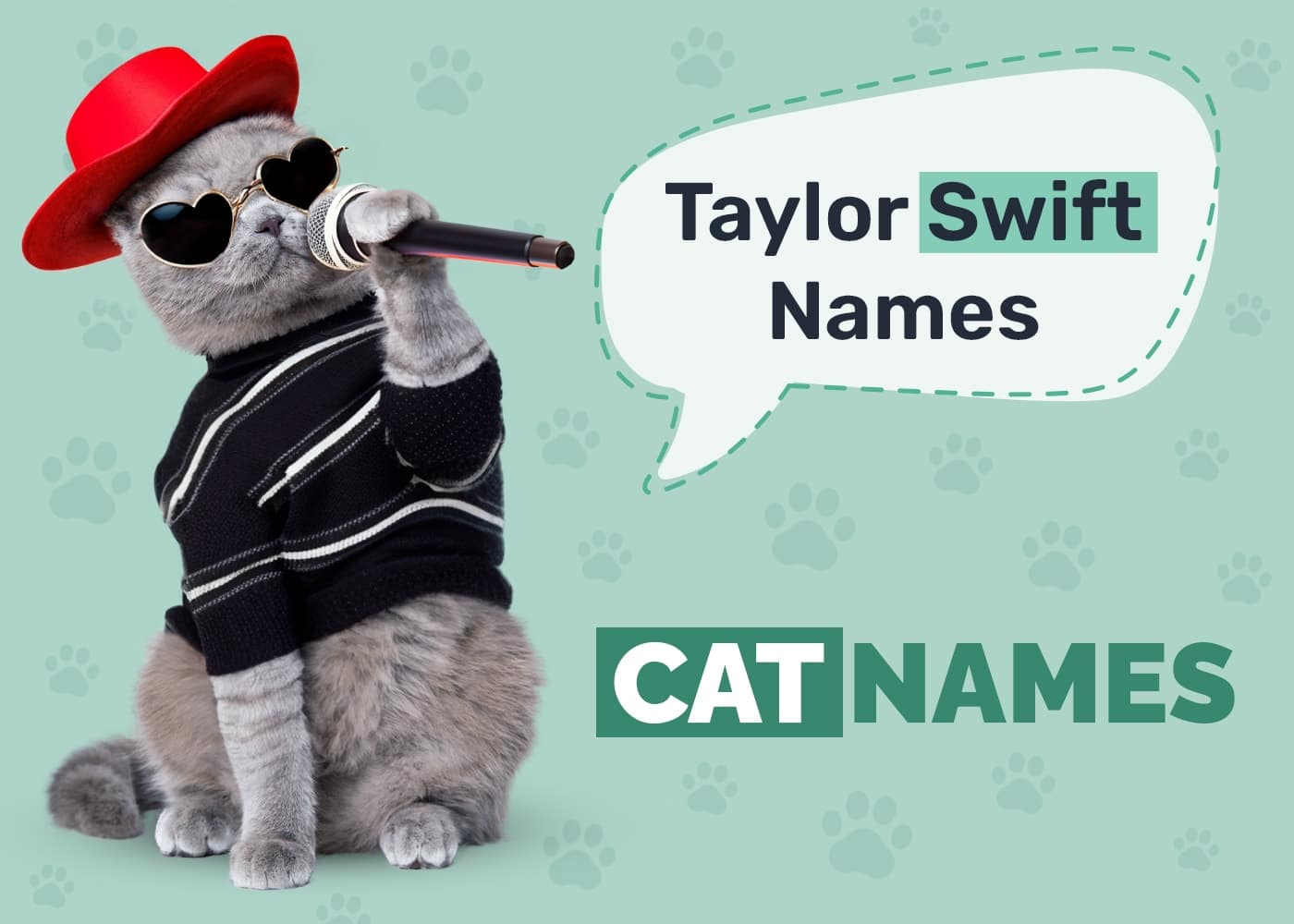 Taylor Swift-Inspired Cat