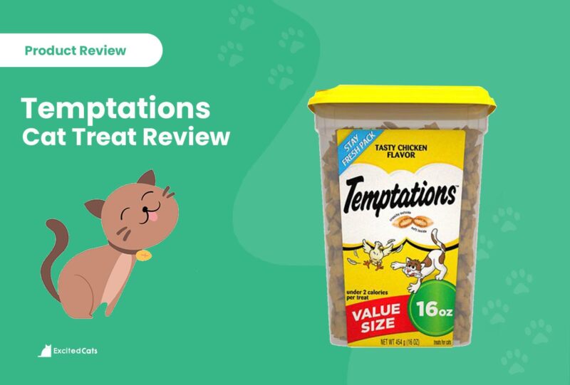 temptations treat review