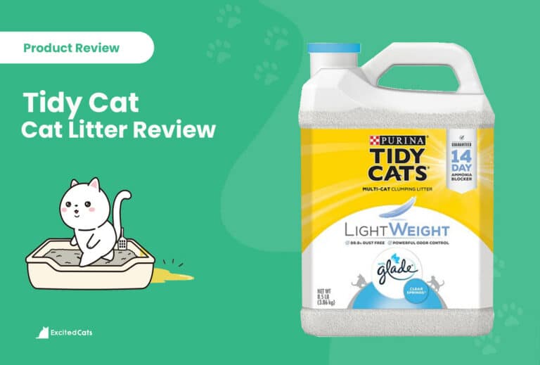 Tidy Cats Litter Review in 2024 Recalls, Pros & Cons Catster