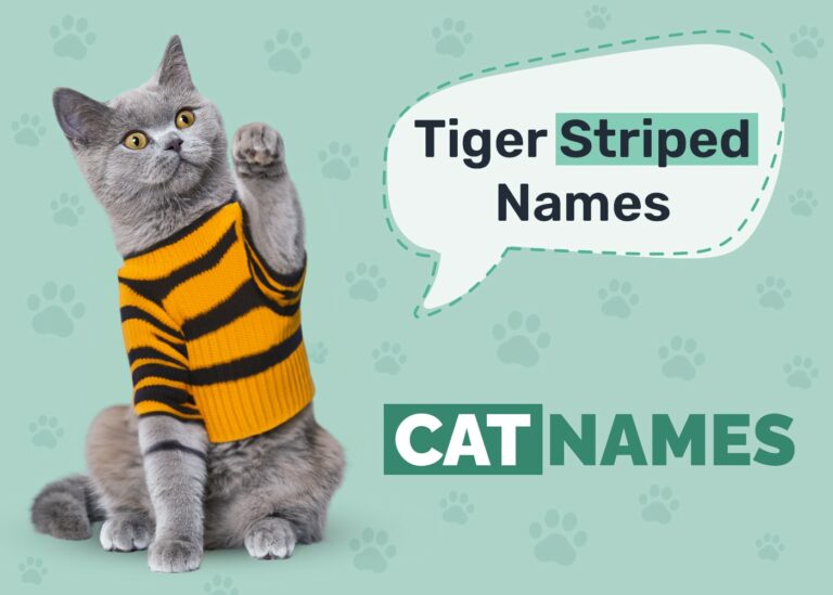 100+ Tiger Striped Cat Names Ideas for Unique & Exotic Cats Catster