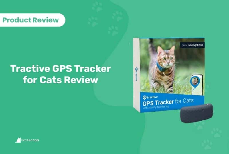 The World's Most Trusted GPS Cat & Dog Activity Tracker