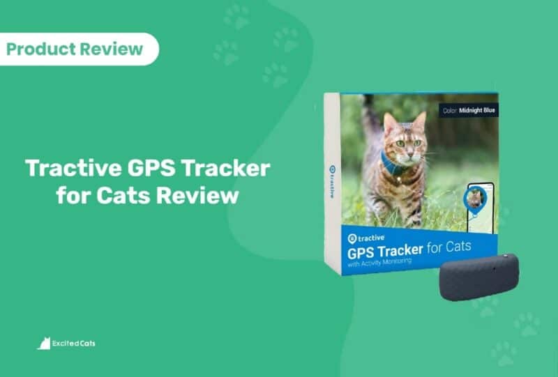 Tractive GPS Tracker for Cats Review in 2024: Our Expert's Opinion