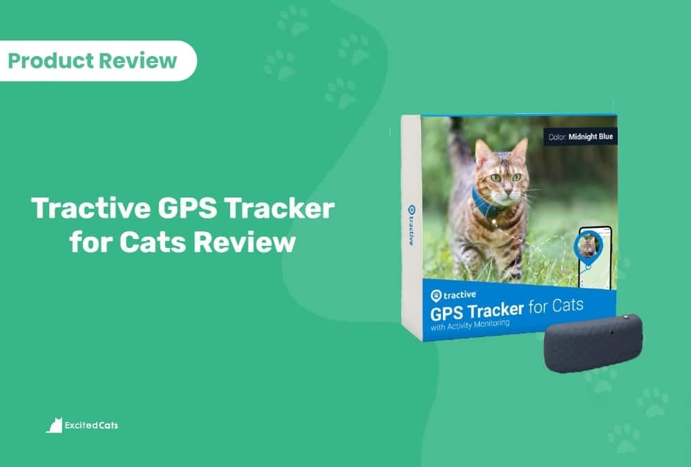 Tractive GPS Tracker and Activity Monitor Review