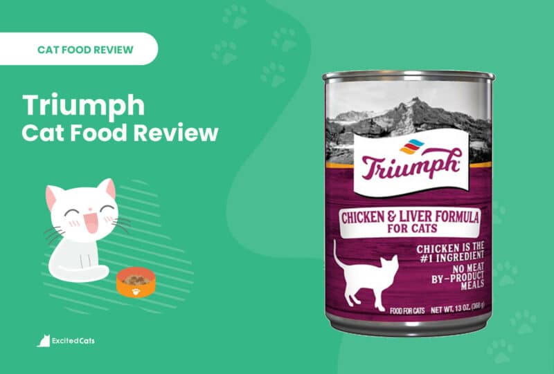 triumph cat food