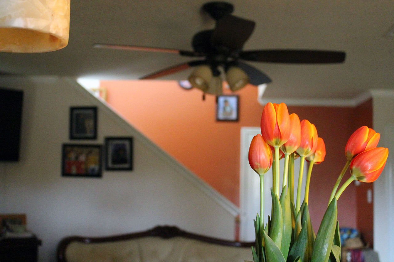 tulips in the living room