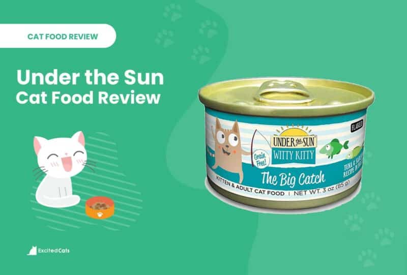 under the sun cat food review