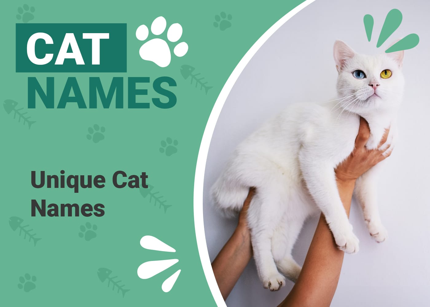 most-popular-cute-cat-names-cute-cat-names-cat-names-kitten-names
