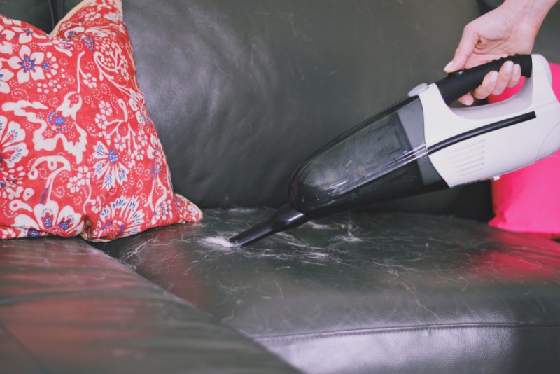 vacuuming pet hair from couch with handheld vacuum