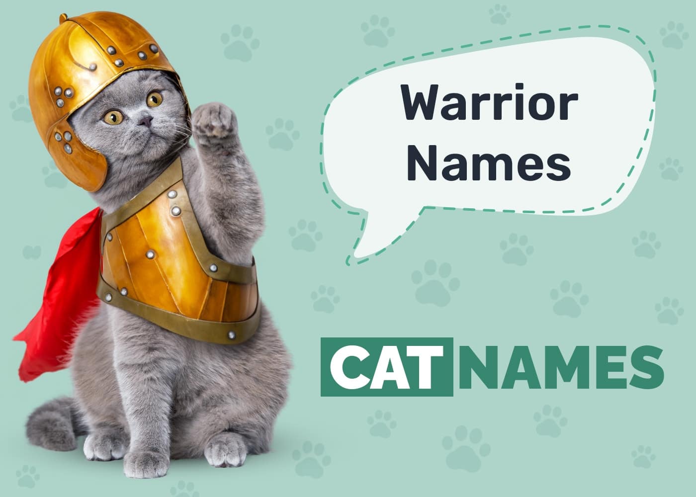 Warrior Cat Names