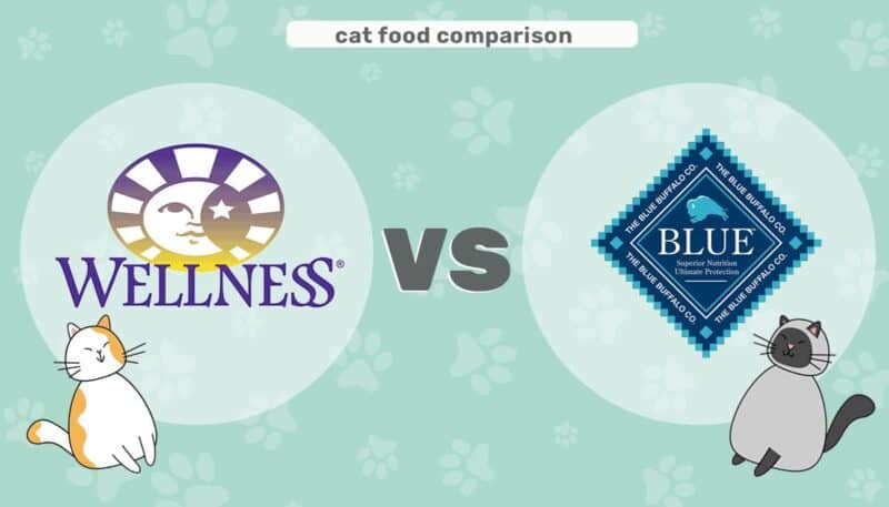 wellness vs blue buffalo ec header image2