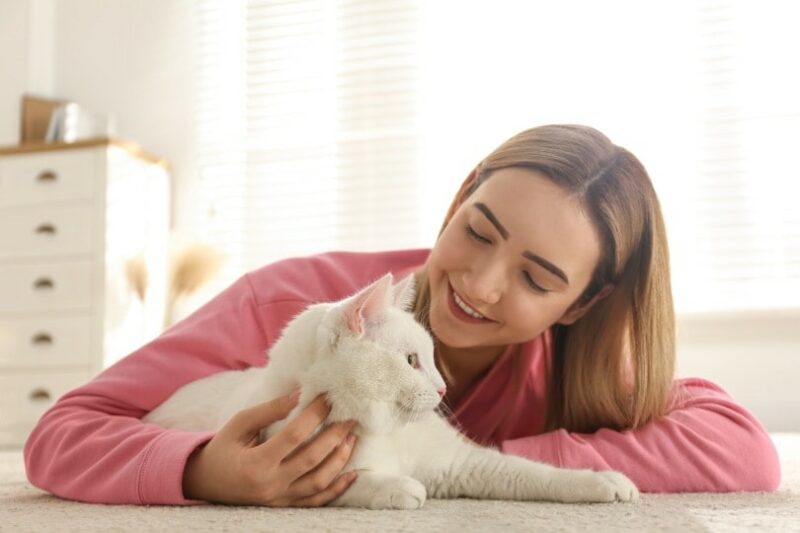 white cat with the owner