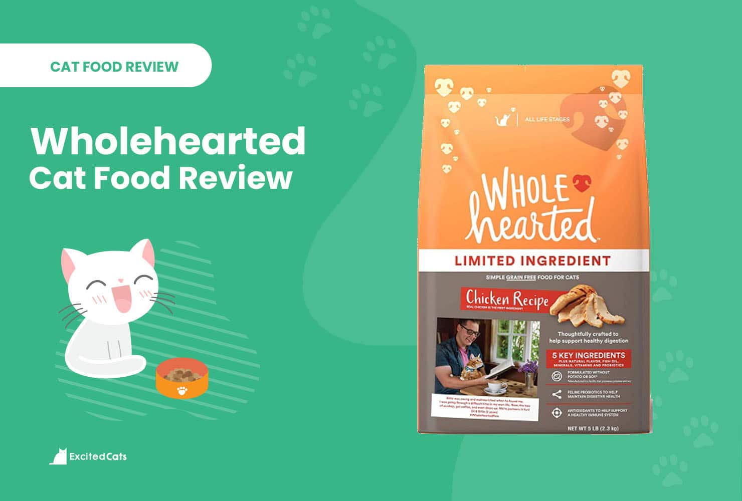 WholeHearted Cat Food Review In 2024 Recalls Pros Cons Catster