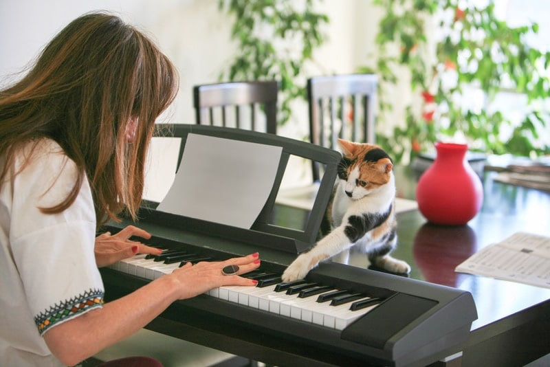 woman and cat playing the piano