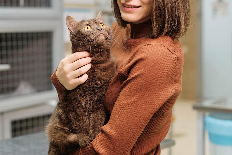woman carrying a chocolate-colored cat inside the clinic