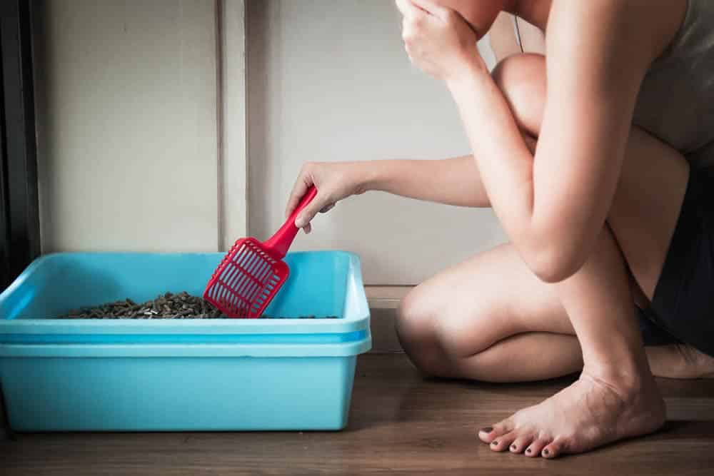 woman cleaning cat litter