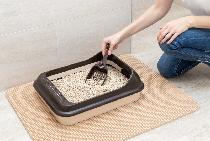 woman cleaning litter box