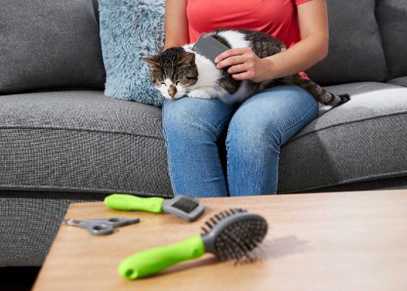 woman grooming her cat with kit
