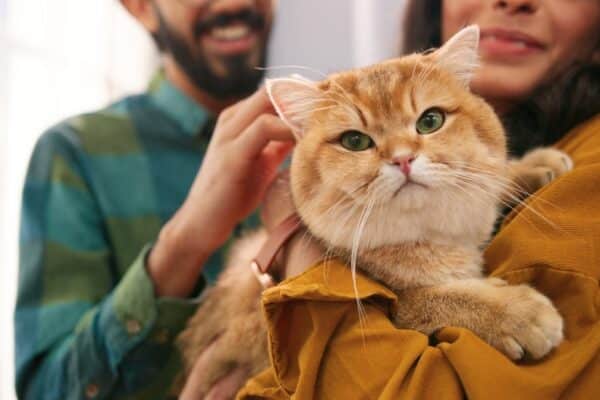Woman holding a cat