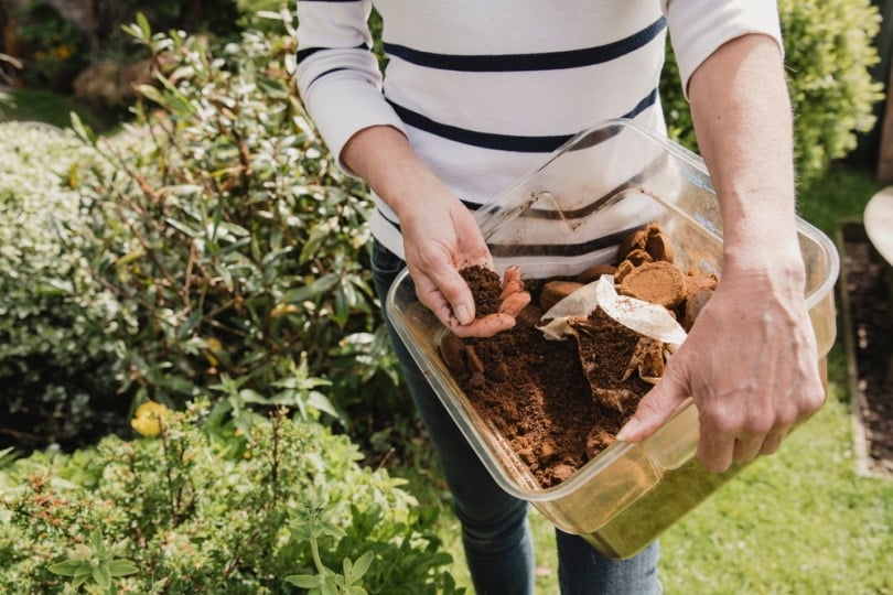 woman holding box with coffee grounds