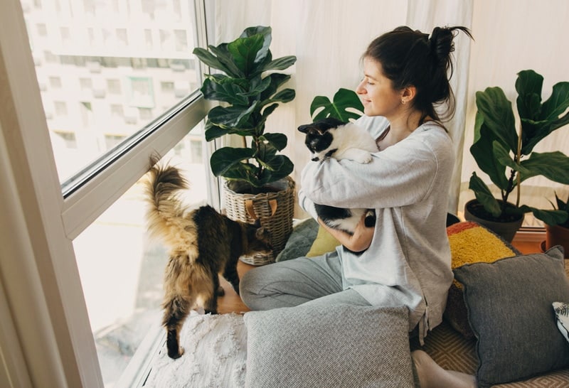 woman introducing new cat to each other