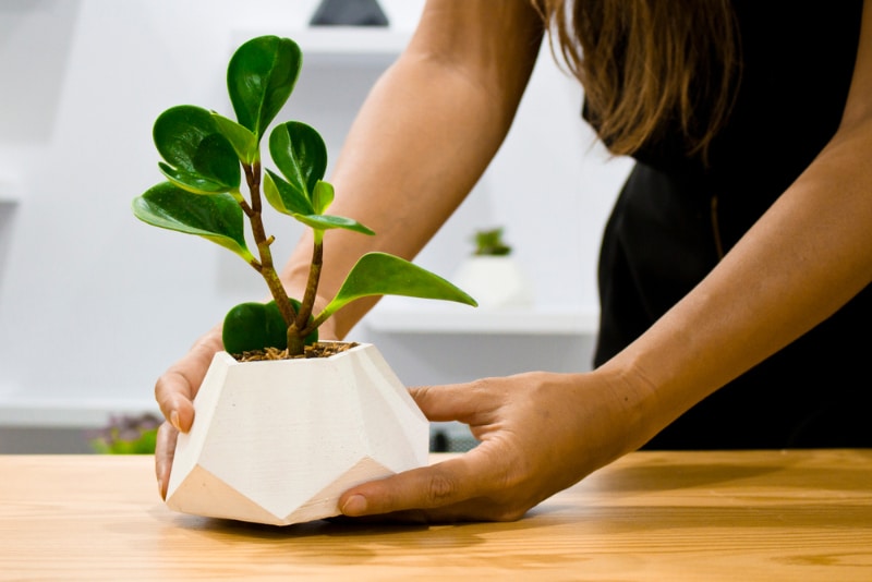 woman moving house plant