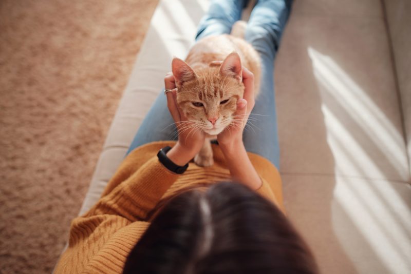 woman resting with an orange cat in sofa at home