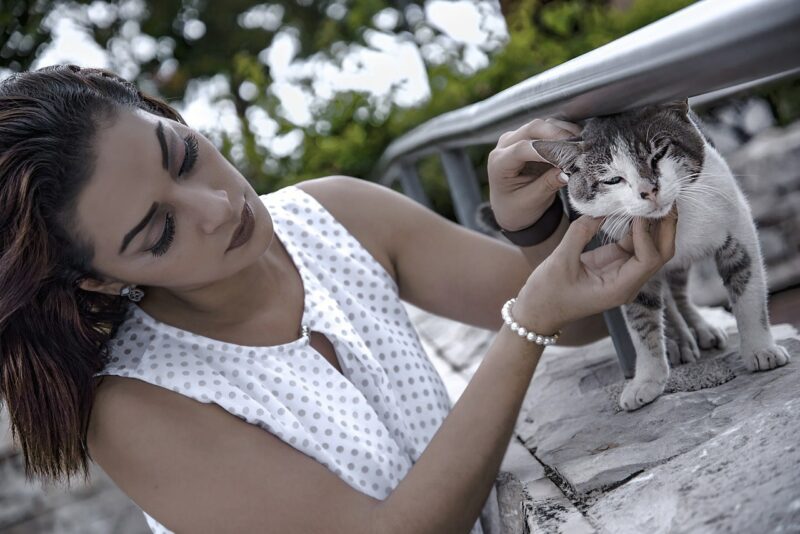 woman scratching cat's chin