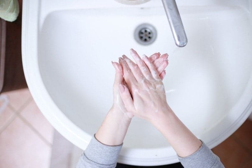 woman washing her hands