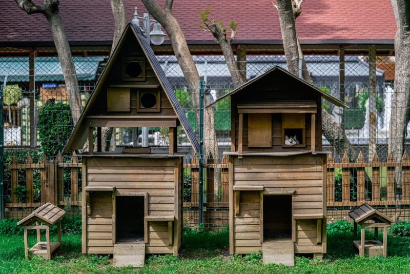 wooden cat houses