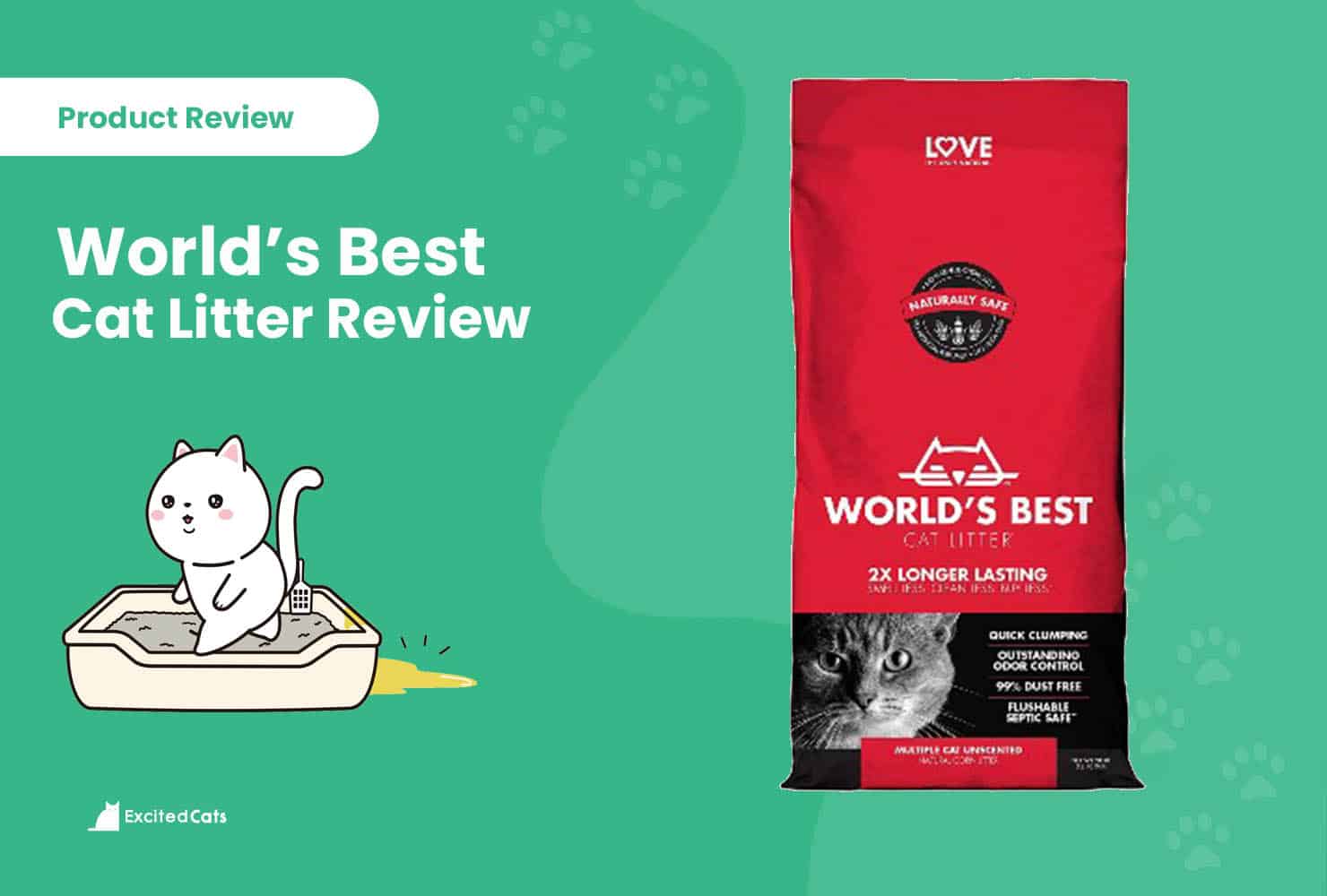 world best cat litter reviews